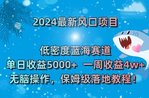 2024年热门项目：低密度蓝海市场，单日收益5000+，一周收益4w+！-网赚项目资源库