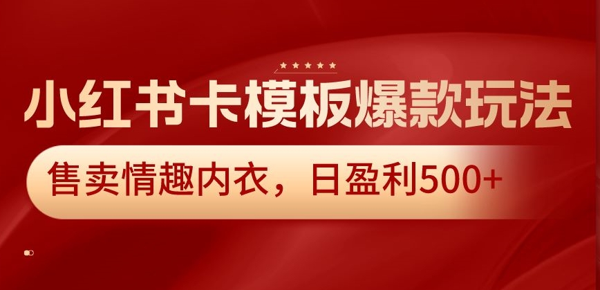 小红书爆款卡模板销售情趣内衣，日盈利500+-网赚项目资源库