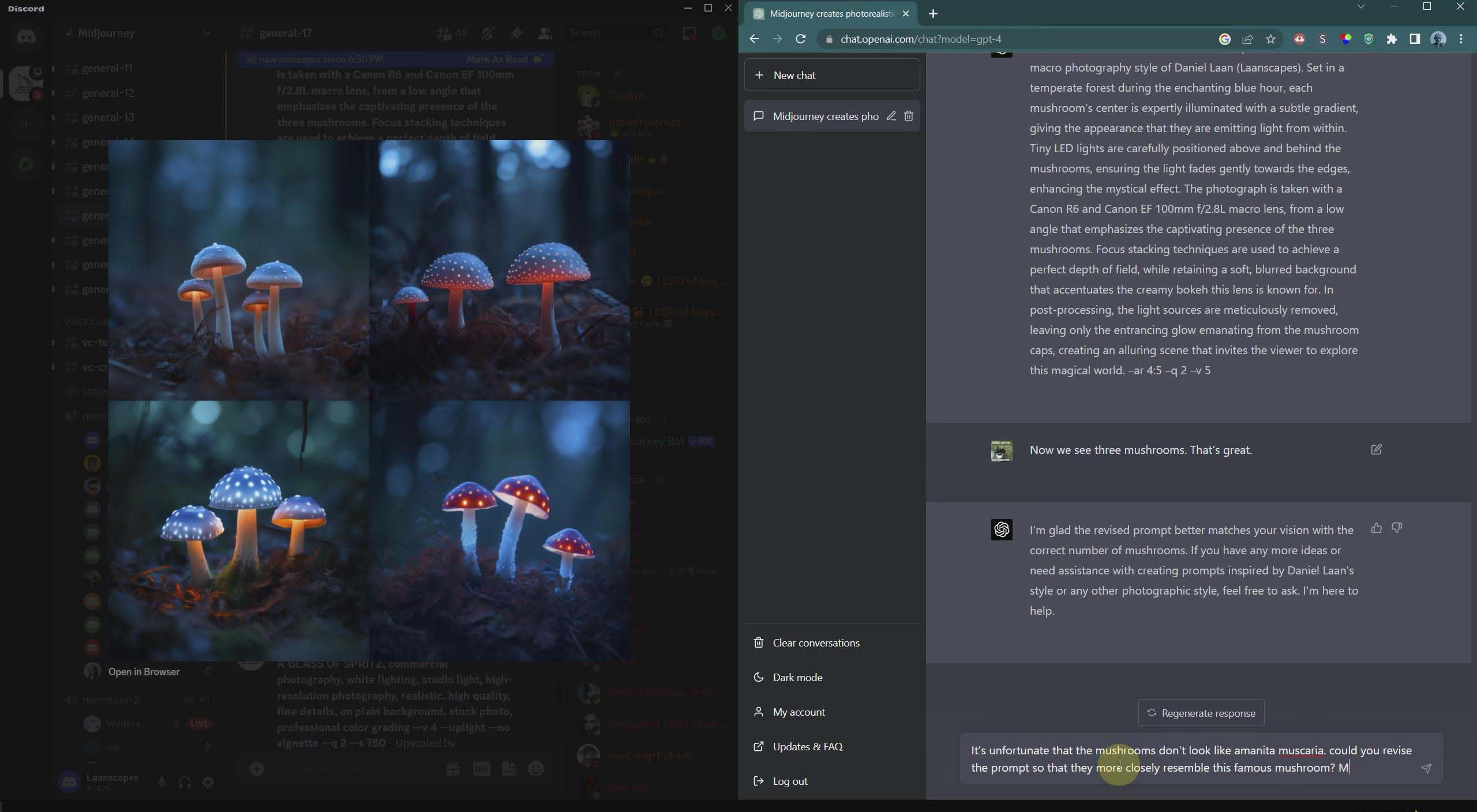 20240121060003-65acb2e3ec2b1.jpg 摄影师 Daniel Laan 使用ChatGPT与Midjourney生成风光图像-中英字幕