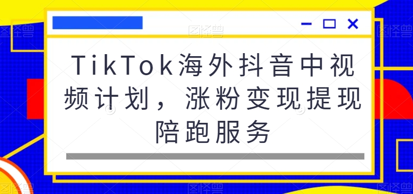 TikTok海外抖音中视频计划：涨粉、变现、提现陪跑服务-网赚项目资源库
