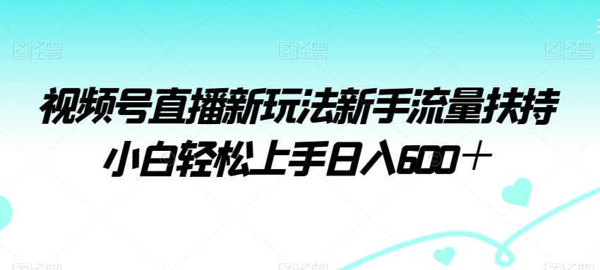 视频号直播新玩法：新手流量扶持，小白轻松日入600+-网赚项目资源库