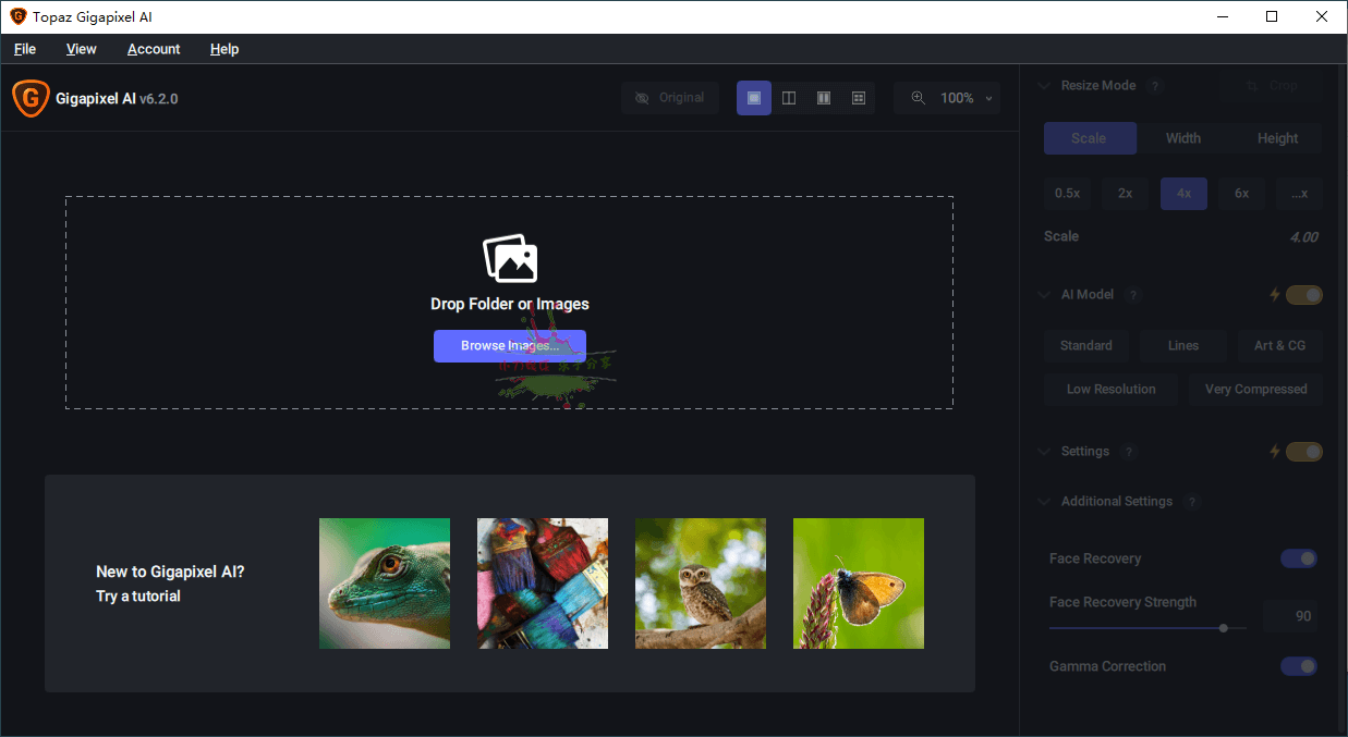 无损放大图片：Topaz Gigapixel AI 技术-网赚项目资源库