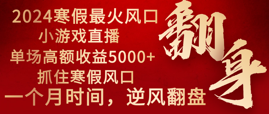 2024年热门寒假项目：小游戏直播，单场收益5000+，抓住风口，一个月提车-网赚项目资源库