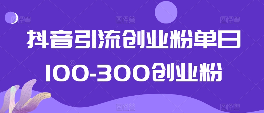 抖音引流创业粉单日100-300粉丝增长策略-网赚项目资源库