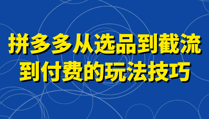 拼多多选品、截流与付费技巧，掌握高投产与快速启动策略-网赚项目资源库