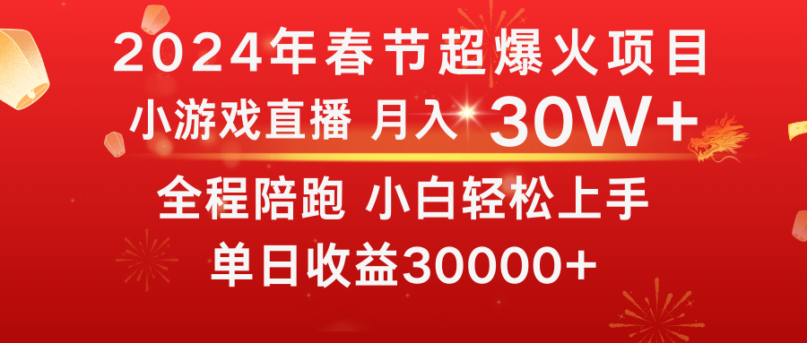 2024龙年春节：揭秘热门项目，小白如何月入30万+-网赚项目资源库
