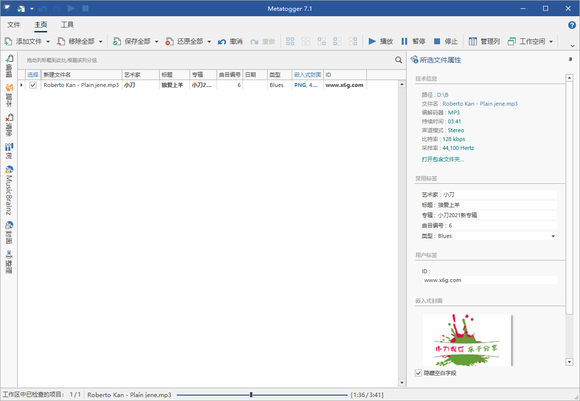 Metatogger音频编辑v7.5.0.0绿色版：专业音频处理工具-网赚项目资源库