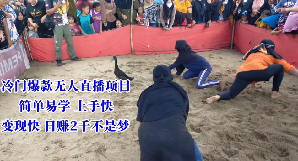 揭秘：冷门爆款无人直播项目，轻松上手日赚2千-网赚项目资源库