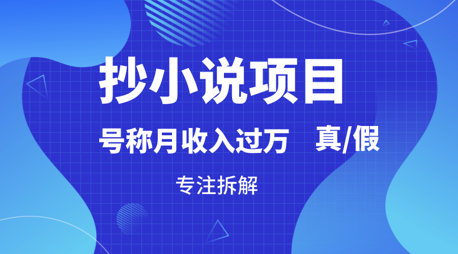 揭秘月入过万的抄小说项目：真实可行性与操作指南-网赚项目资源库