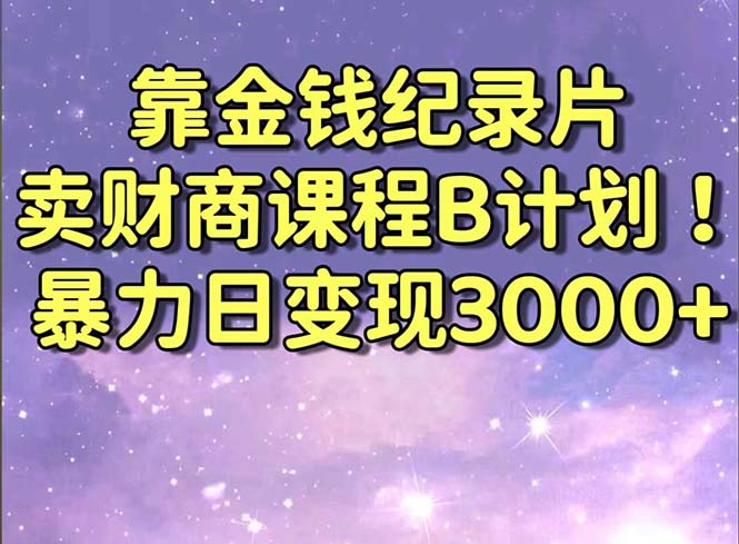 揭秘：靠纪录片赚钱，日入3000+的财商课程B计划！暴力日变现教程分享！-网赚项目资源库