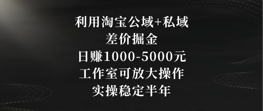 淘宝公域私域差价盈利策略：日赚1000-5000元，工作室放大操作指南-网赚项目资源库