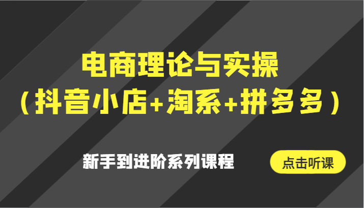 电商理论与实操：抖音小店、淘系、拼多多新手到进阶系列课程-网赚项目资源库