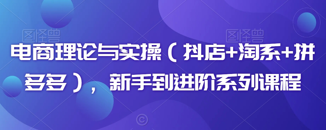 电商理论与实操：从新手到进阶的抖店、淘系、拼多多课程-网赚项目资源库