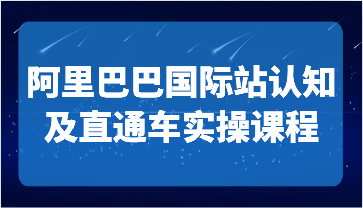 阿里巴巴国际站运营与直通车实操课程:国际地产逻辑、运营定位及TOP商家策略-网赚项目资源库