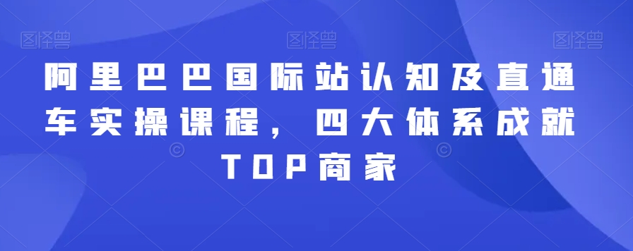 阿里巴巴国际站认知与直通车实操课程：四大体系助力商家TOP成就-网赚项目资源库