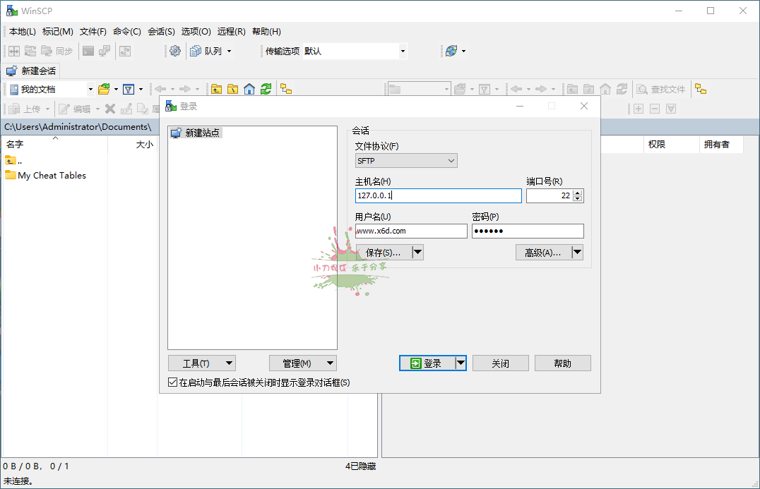 WinSCP v6.3便携版：SSH客户端的便携解决方案-网赚项目资源库