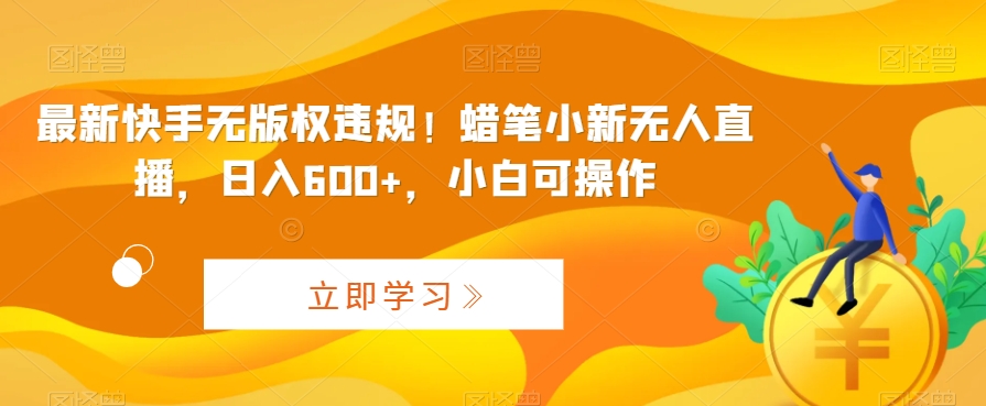 快手无版权违规操作指南：蜡笔小新无人直播日入600+，适合新手操作-网赚项目资源库