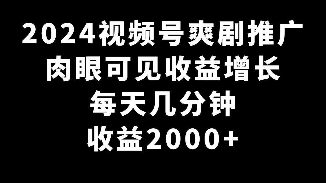 2024年视频号爽剧推广，日赚2000+，快速见效-网赚项目资源库