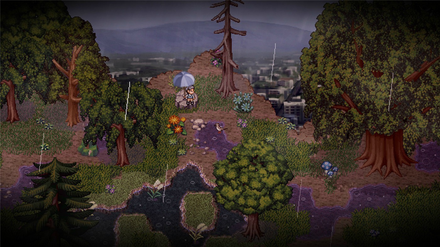 《鸟的故事》v1946620中文版