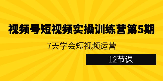 视频号短视频运营实战训练营第5期:7天掌握短视频制作技巧(12节课程)-网赚项目资源库