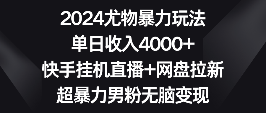 2024年快手挂机直播日入4000+，网盘拉新超暴力变现秘籍-网赚项目资源库
