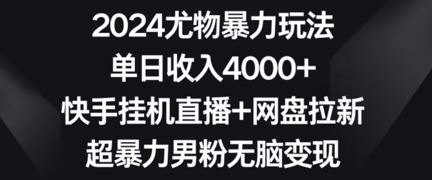 2024年快手挂机直播+网盘拉新，单日收入4000+，暴力男粉无脑变现-网赚项目资源库