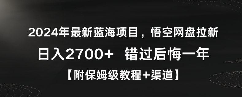 2024年蓝海项目揭秘：悟空网盘日入2700+，错过后悔一年【保姆级教程+渠道】-网赚项目资源库