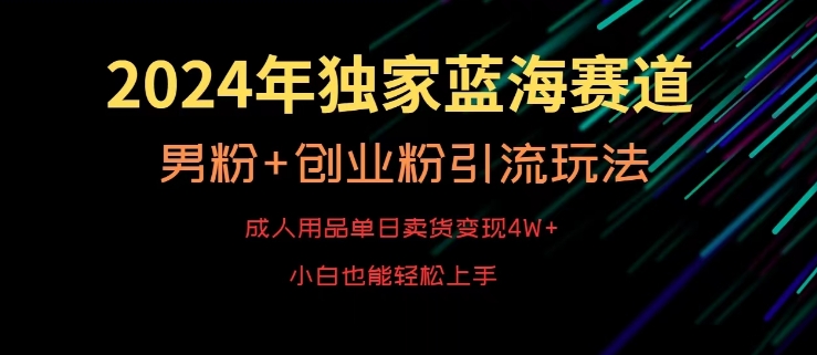 2024年成人用品市场新机遇:单日销售额突破4万,男性与创业人群引流策略揭秘-网赚项目资源库