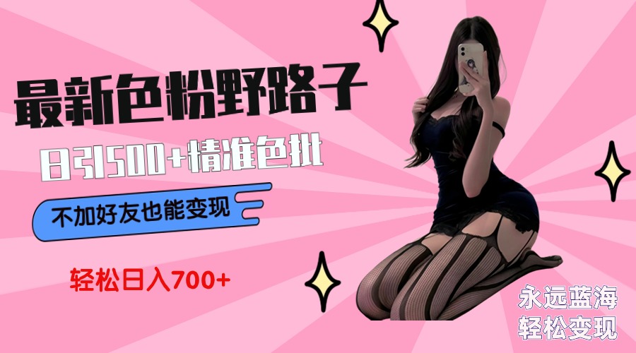 揭秘日赚500+的色粉变现技巧，无需好友即可轻松实现-网赚项目资源库