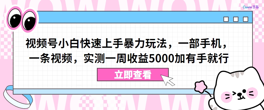 视频号快速入门:手机拍摄,一周收益5000+,简单易学-网赚项目资源库