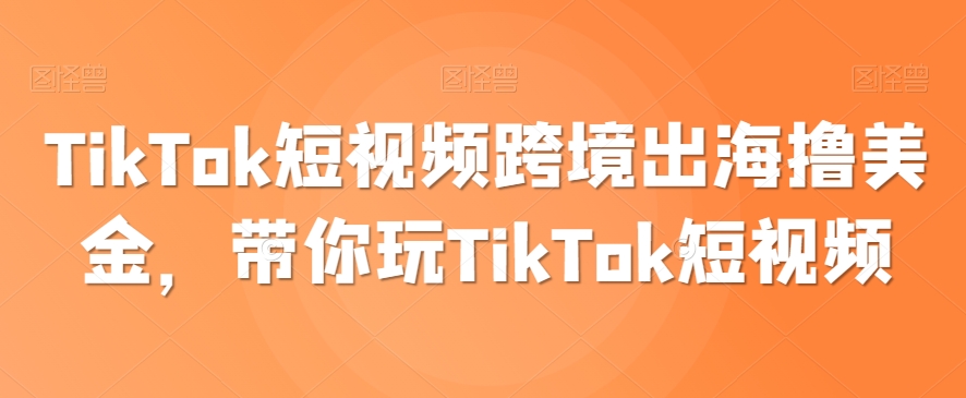 TikTok短视频跨境营销：如何通过TikTok赚取美元-网赚项目资源库
