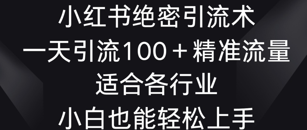 小红书引流秘籍：一天吸引100+精准流量，适合各行业新手轻松掌握-网赚项目资源库