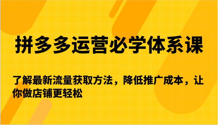 拼多多运营必学体系课:掌握最新流量获取技巧,降低推广成本,轻松提升店铺业绩-网赚项目资源库