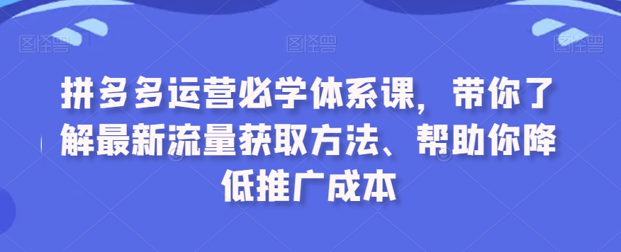 拼多多运营必学体系课：掌握最新流量获取技巧，降低推广成本-网赚项目资源库
