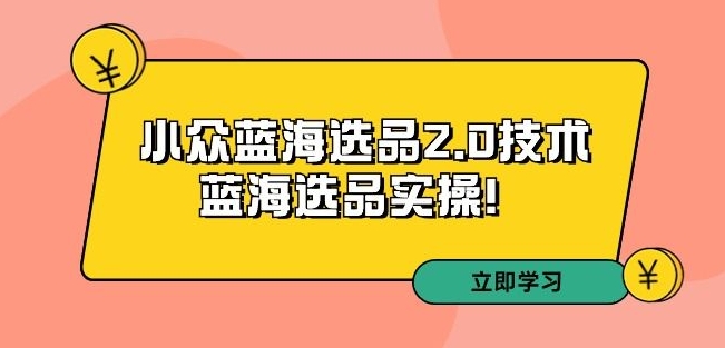 拼多多培训第33期：小众蓝海选品2.0技术实操指南-网赚项目资源库