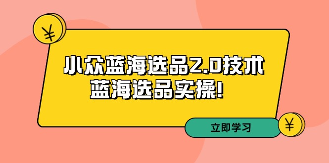 拼多多培训第33期：小众蓝海选品2.0技术实操指南-网赚项目资源库