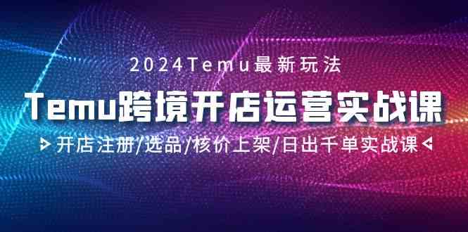 2024年Temu跨境开店运营实战课程：从注册到日出千单的全流程操作-网赚项目资源库