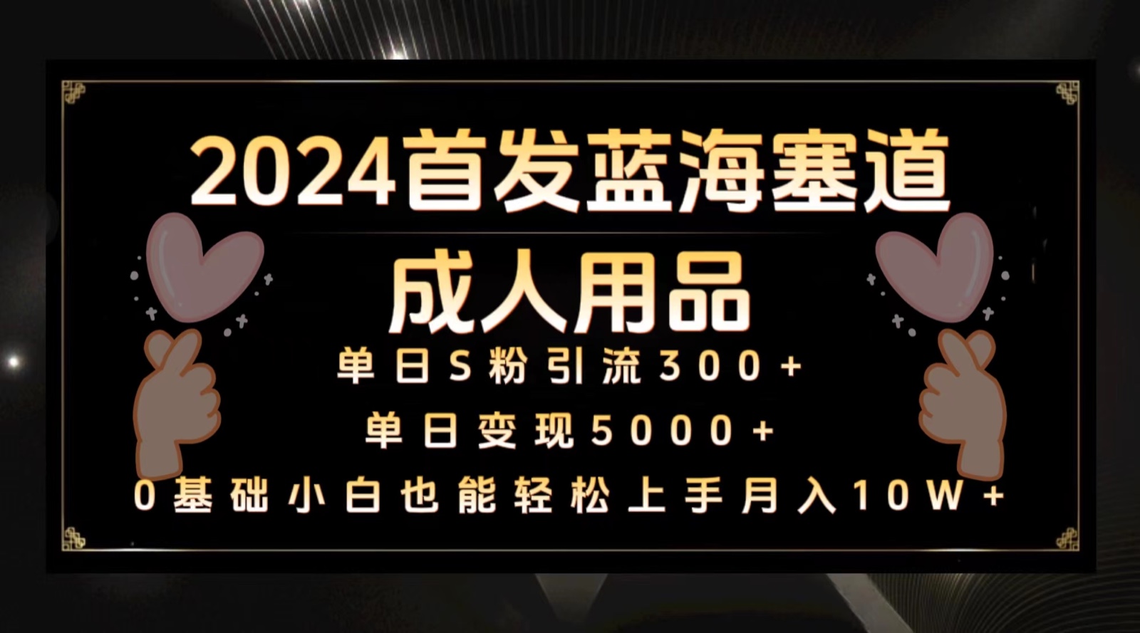 2024年首发蓝海商机：成人用品月入10万+保姆级教程-网赚项目资源库