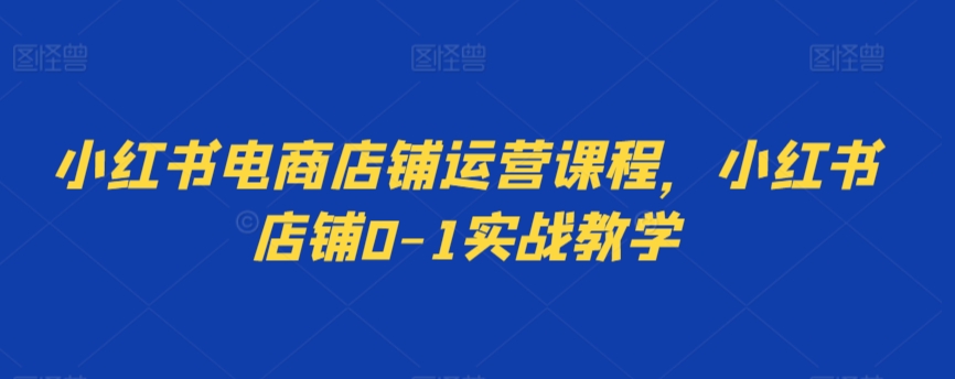 小红书电商店铺运营课程：0-1实战教学，助力小红书店铺成长-网赚项目资源库