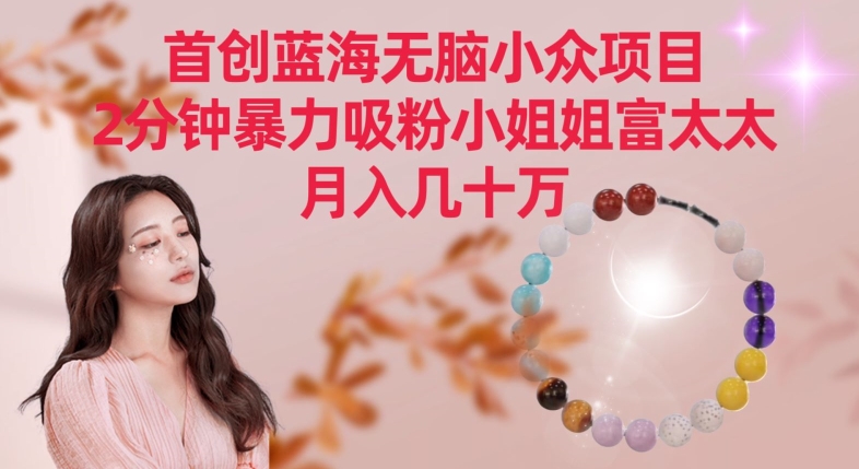 揭秘蓝海项目：2分钟快速吸粉，月入数十万的暴利策略-网赚项目资源库