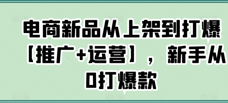 电商新品推广与运营：新手打造爆款的实战攻略-网赚项目资源库