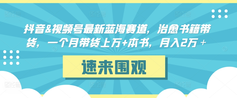 抖音&视频号治愈书籍带货月入2万+，蓝海赛道一个月带货上万本-网赚项目资源库