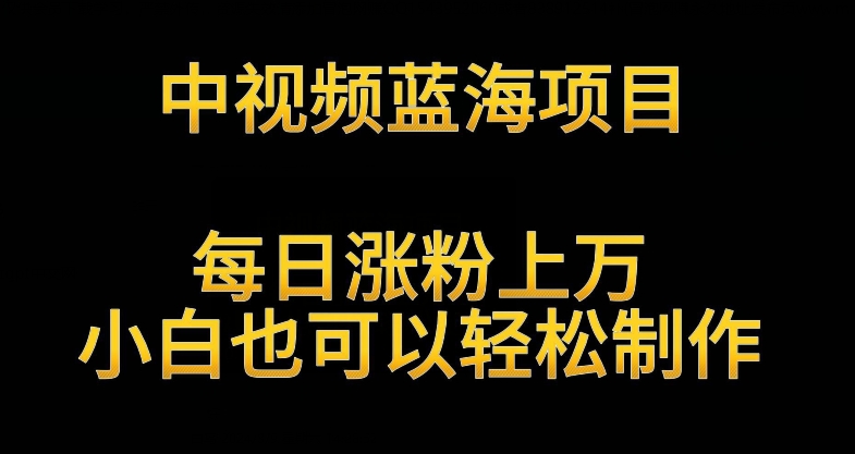 中视频蓝海项目揭秘：英雄人物生平解读，每日涨粉上万，小白也能轻松制作，月入过万不是梦-网赚项目资源库