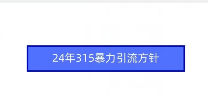 24年315期间的暴力引流策略-网赚项目资源库