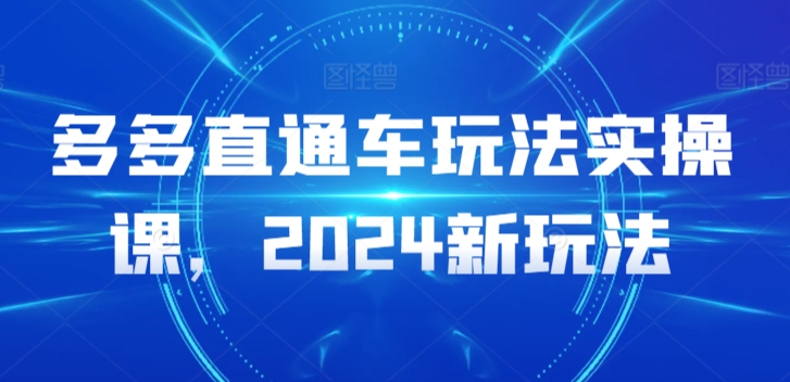 2024年新玩法：多多直通车实操课程-网赚项目资源库