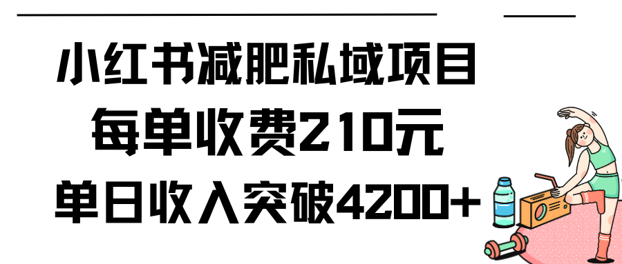 小红书减肥私域项目单日最高收入4200元,每单收费210元-网赚项目资源库