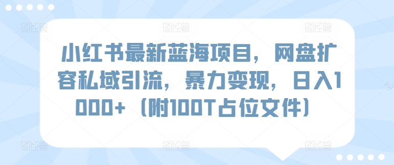 小红书蓝海项目:网盘扩容私域引流,日入1000+(附100T占位文件)-网赚项目资源库