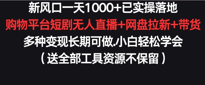 新风口：一天1000+实操案例，购物平台短剧无人直播、网盘拉新带货多种变现，长期可做-网赚项目资源库