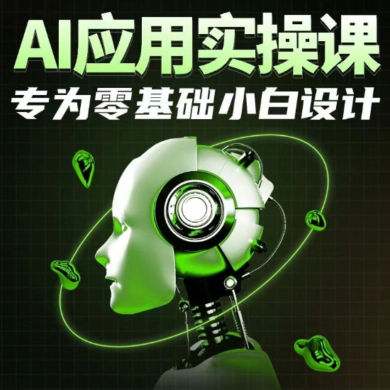 AI应用实操课：零基础小白的入门指南-网赚项目资源库