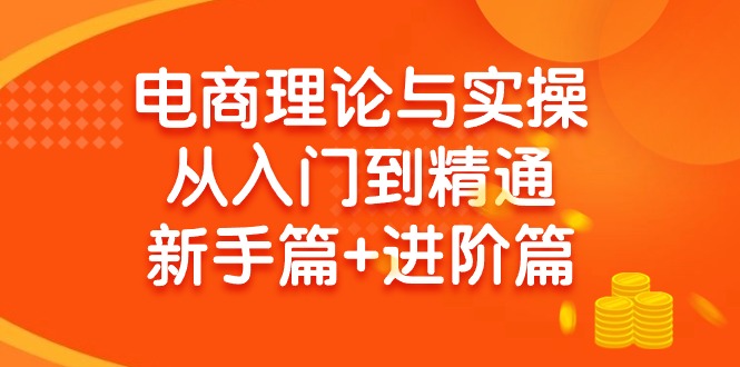 电商理论与实操：新手到精通的全面指南-网赚项目资源库